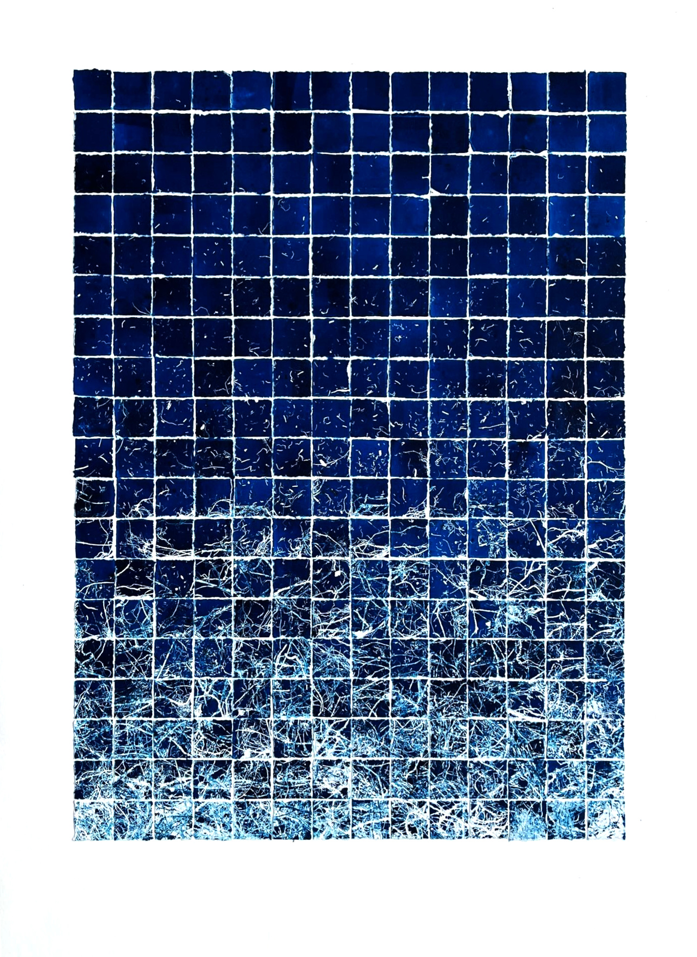 Code 19x14 I, Monotype Collage 2025, 70 x 50 cm, Emmanuel Monzies